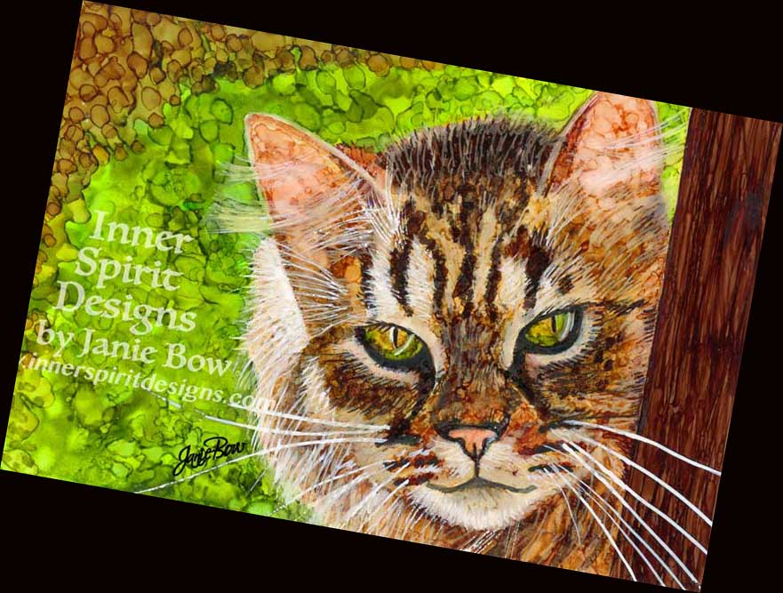 CAT-PEEKING-AROUND-to-show-others TILTED.jpg