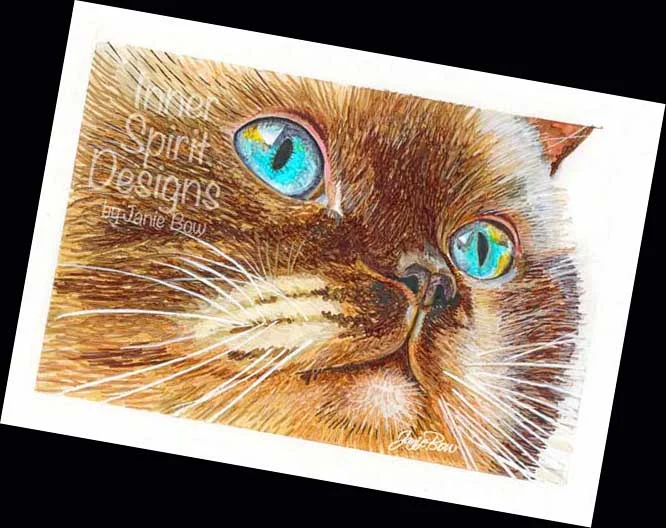 TURQUOISE-EYES-CAT-with-border-TO-SHOW-OTHERS TILTED.jpg