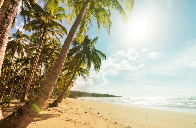 tropical-beach-PQCHD4F.jpg