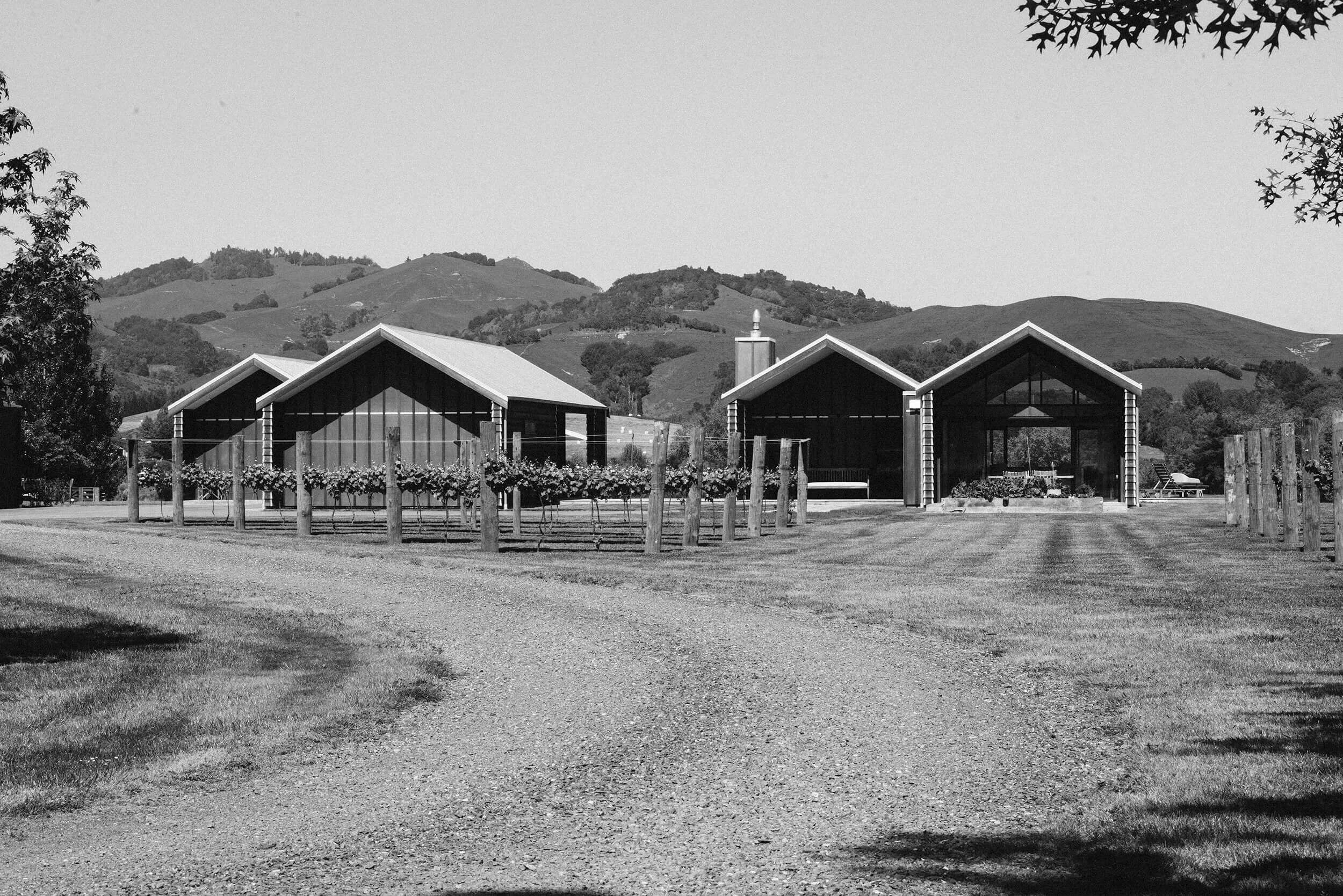 Tawa Architecture_Karapiro House_BW_Web.jpg