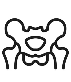 pelvis.jpg