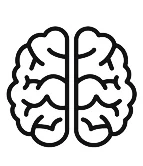 brain.jpg