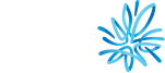 logo-amp-dark.png