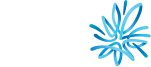 logo-amp-dark.png
