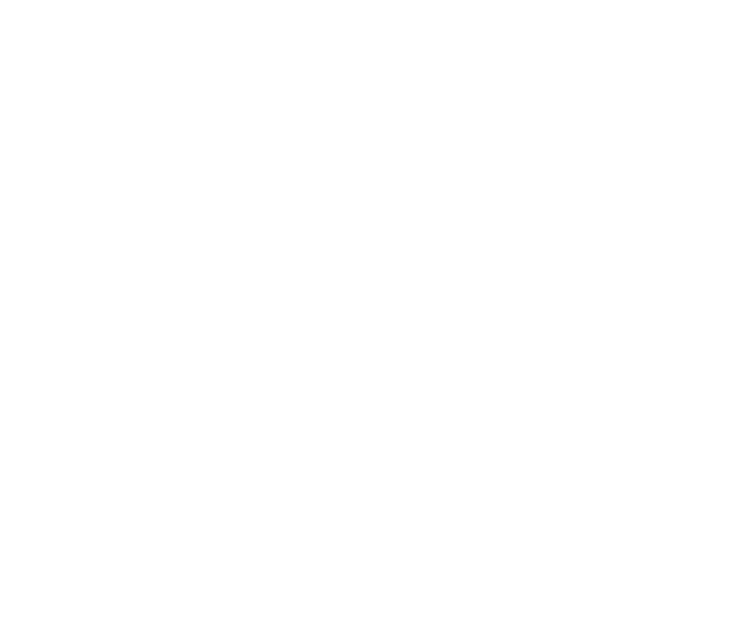 Evolve Logo_White-01.png