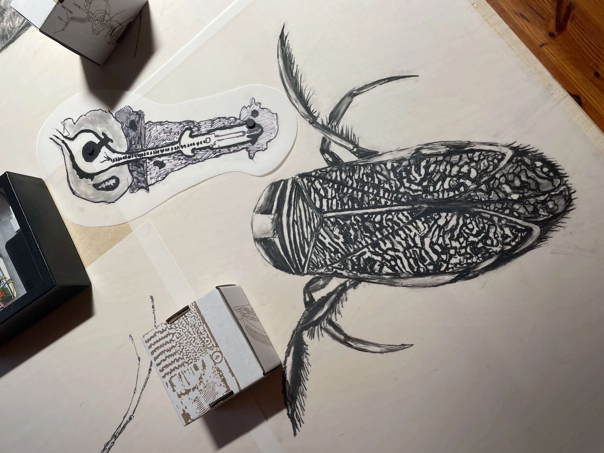 World Forum for Acoustic Ecology, 2023