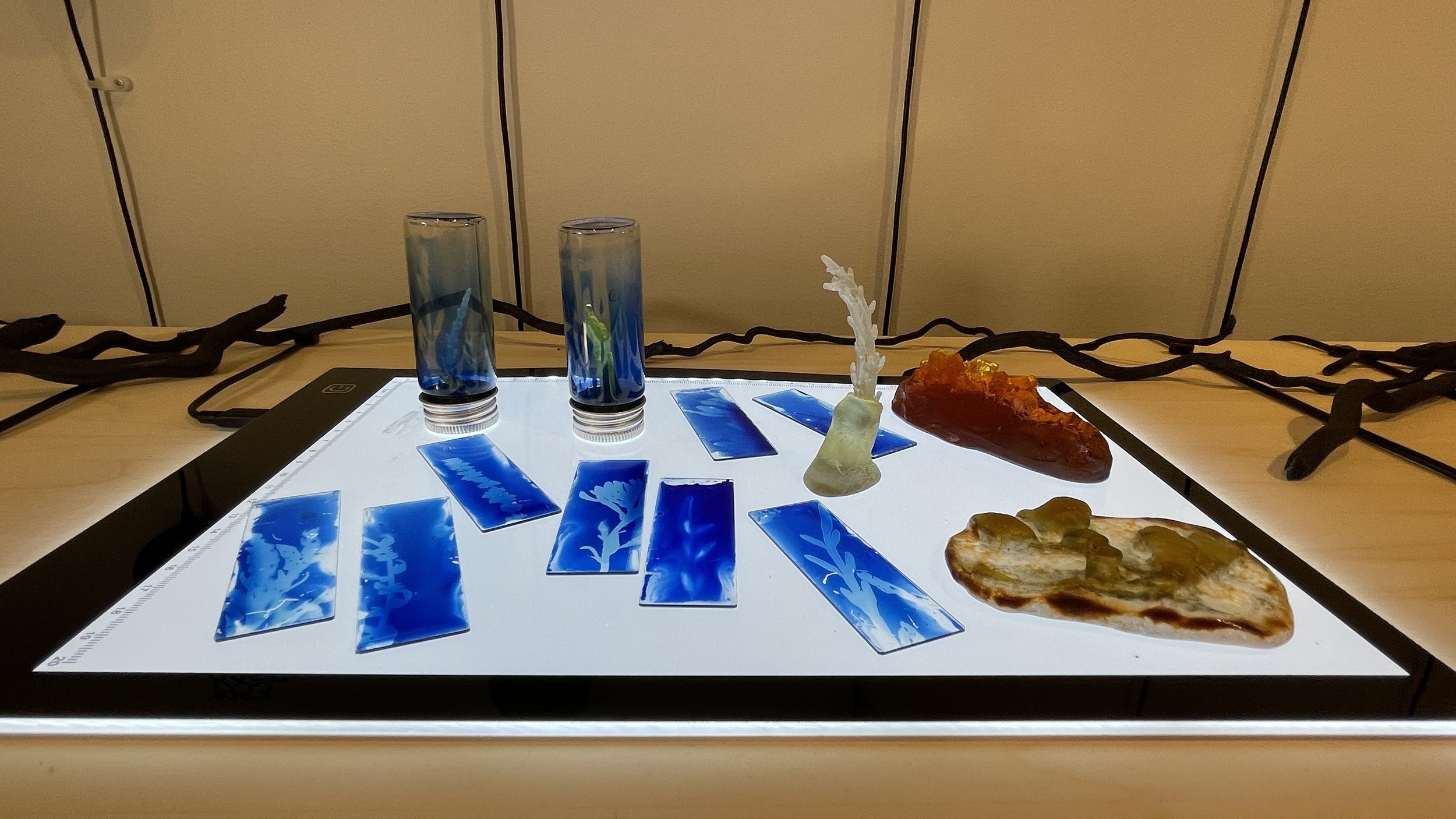 glass pieces on light table_2.jpg