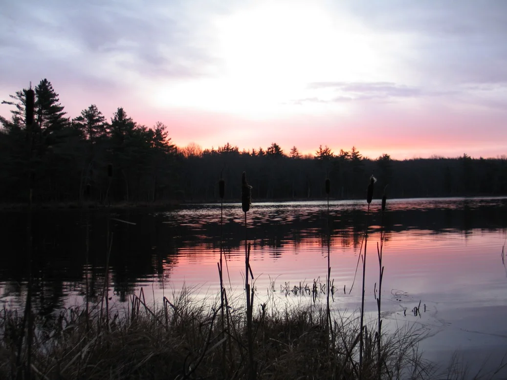 Making Time to Meditate, Part 1