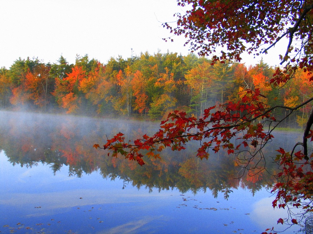 Cultivating Inner Freedom