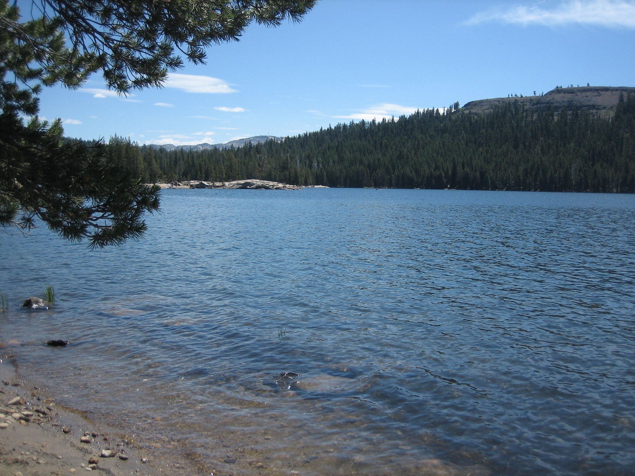 The Necessity of Joy