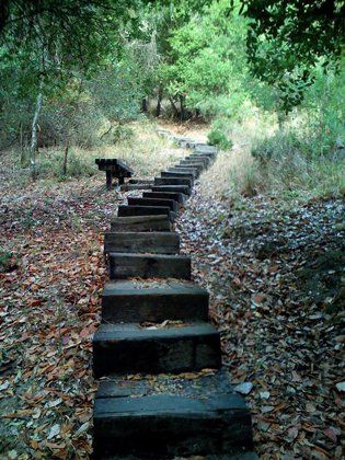 Steps.jpg
