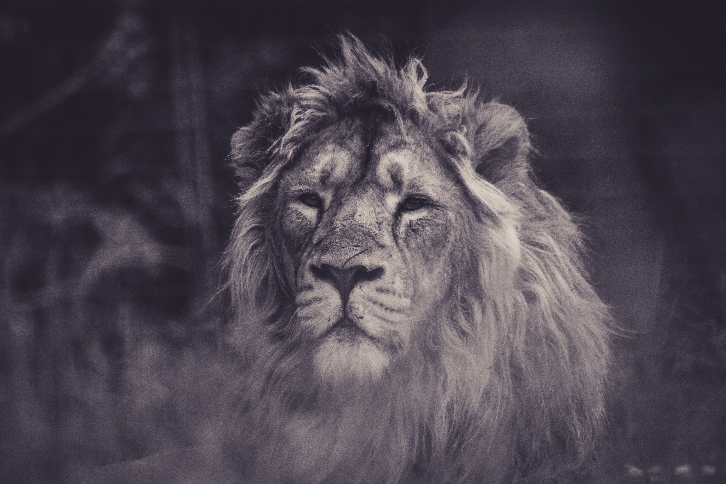 Photo by Frida Bredesen on Unsplash