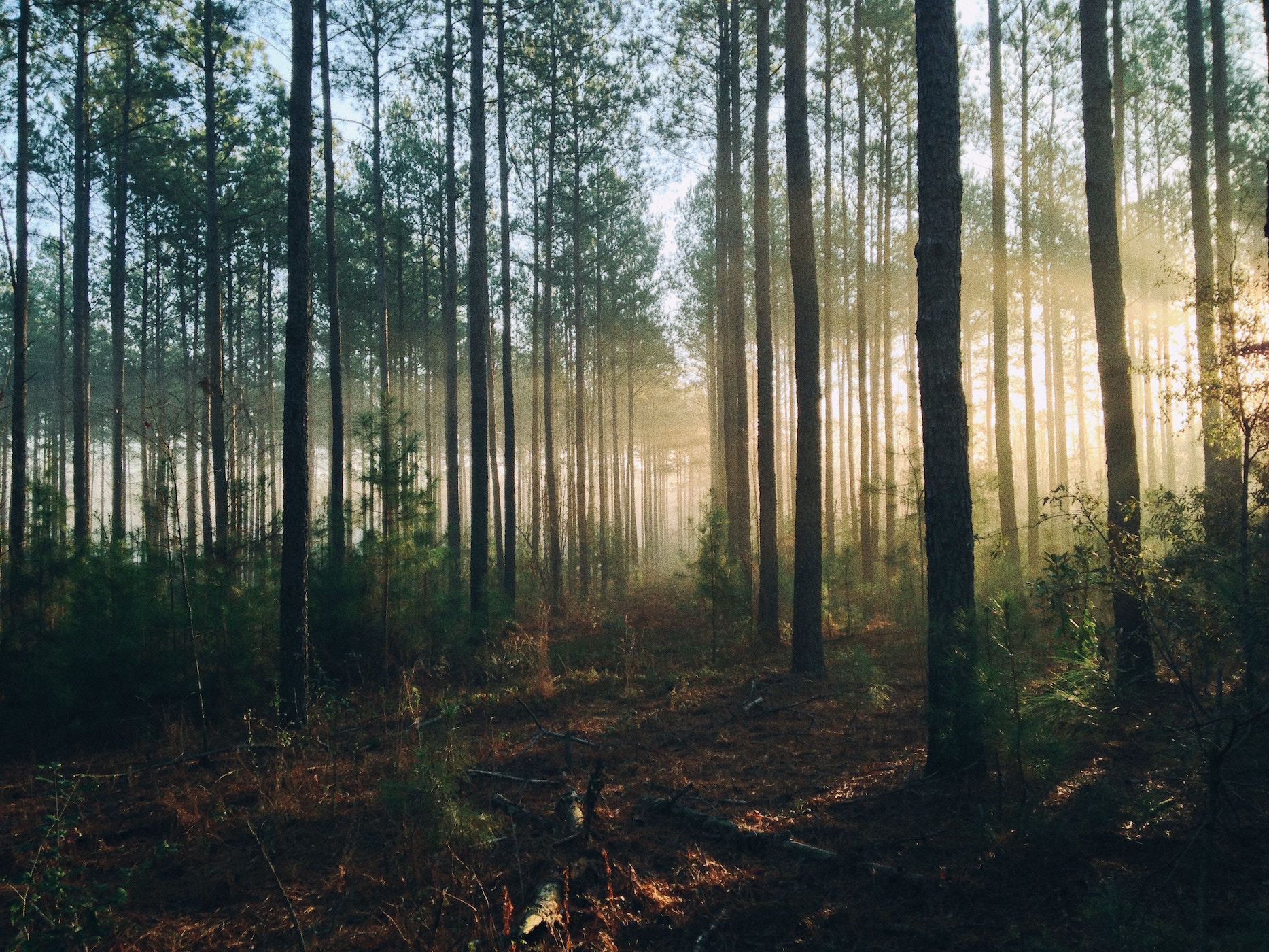 Dialogue across Differences: How to Talk to Anyone with Truth and Kindness