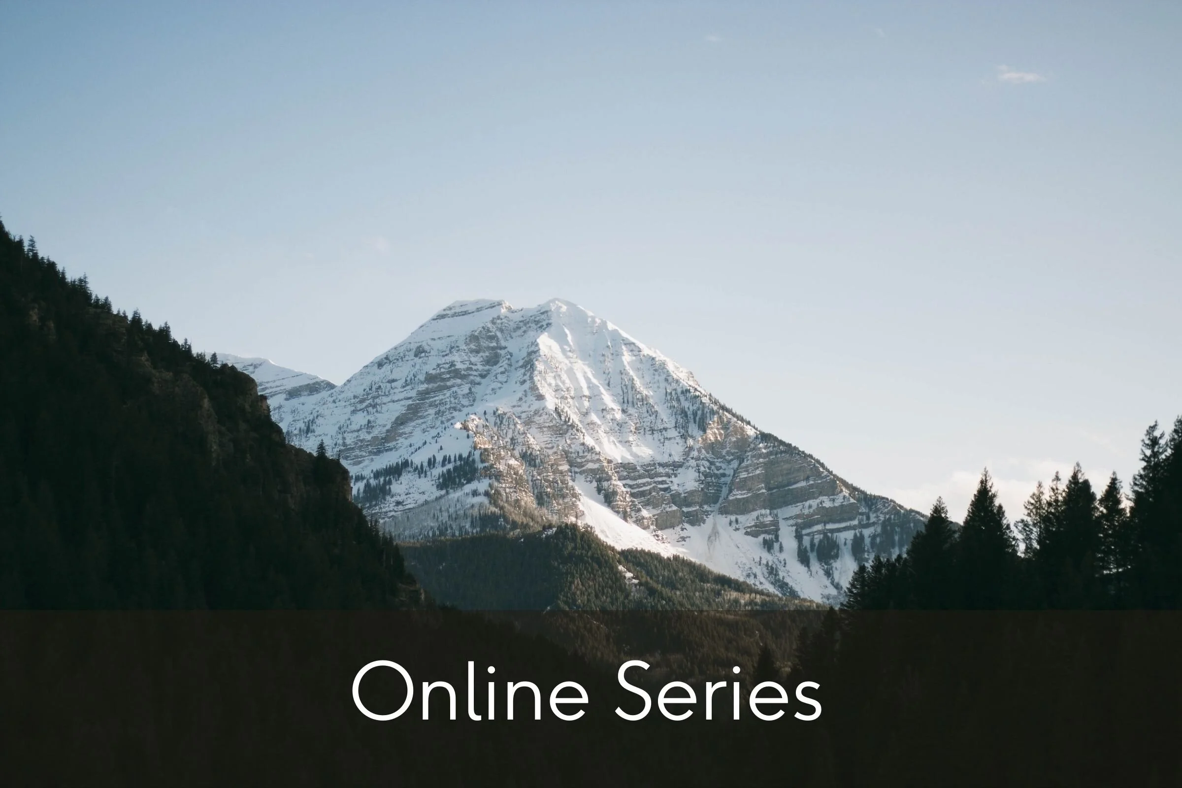 Authentic Communication: 6-week LIVE Online Course
