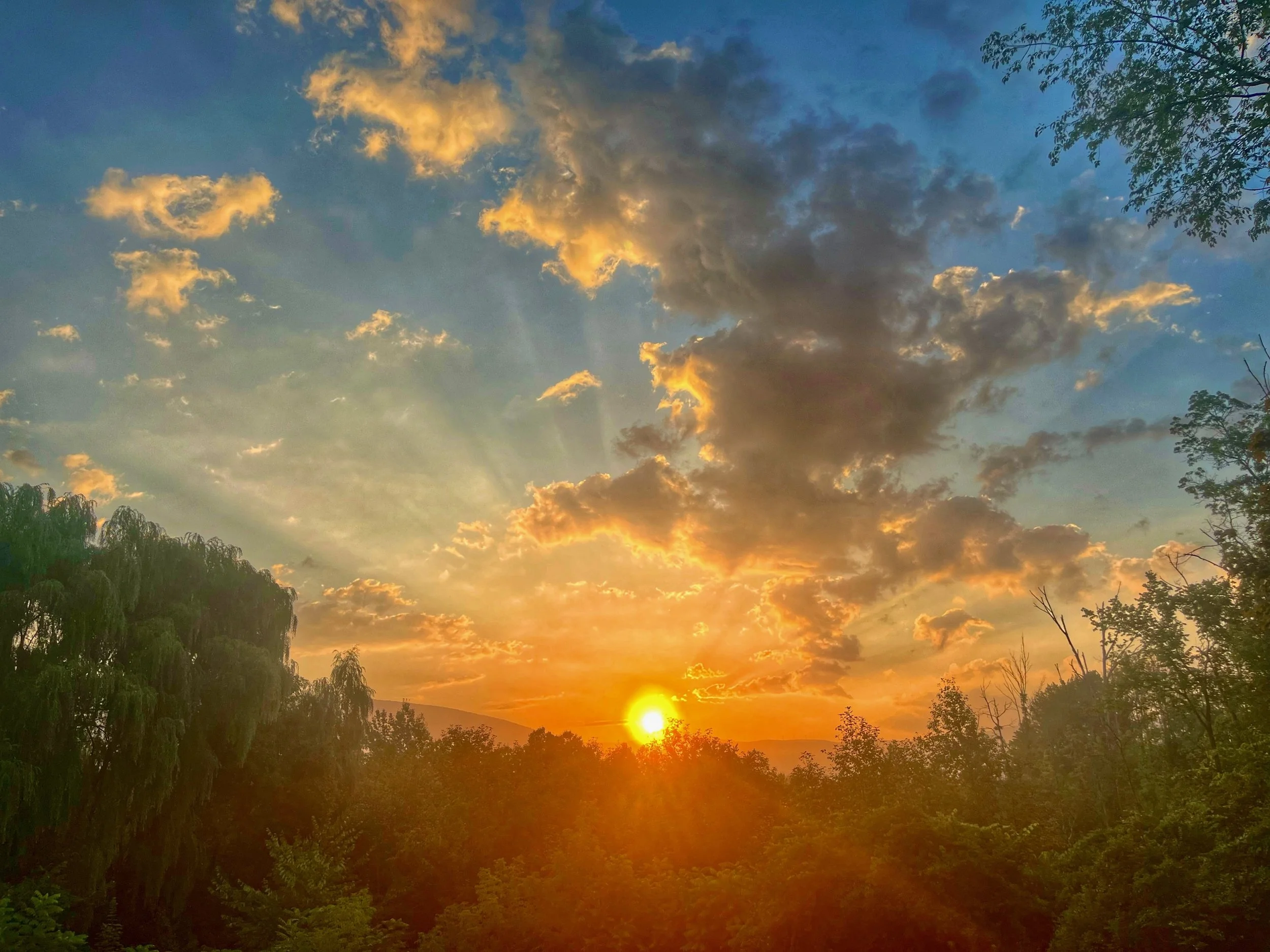 Monday Night Meditation and Dharma Talk