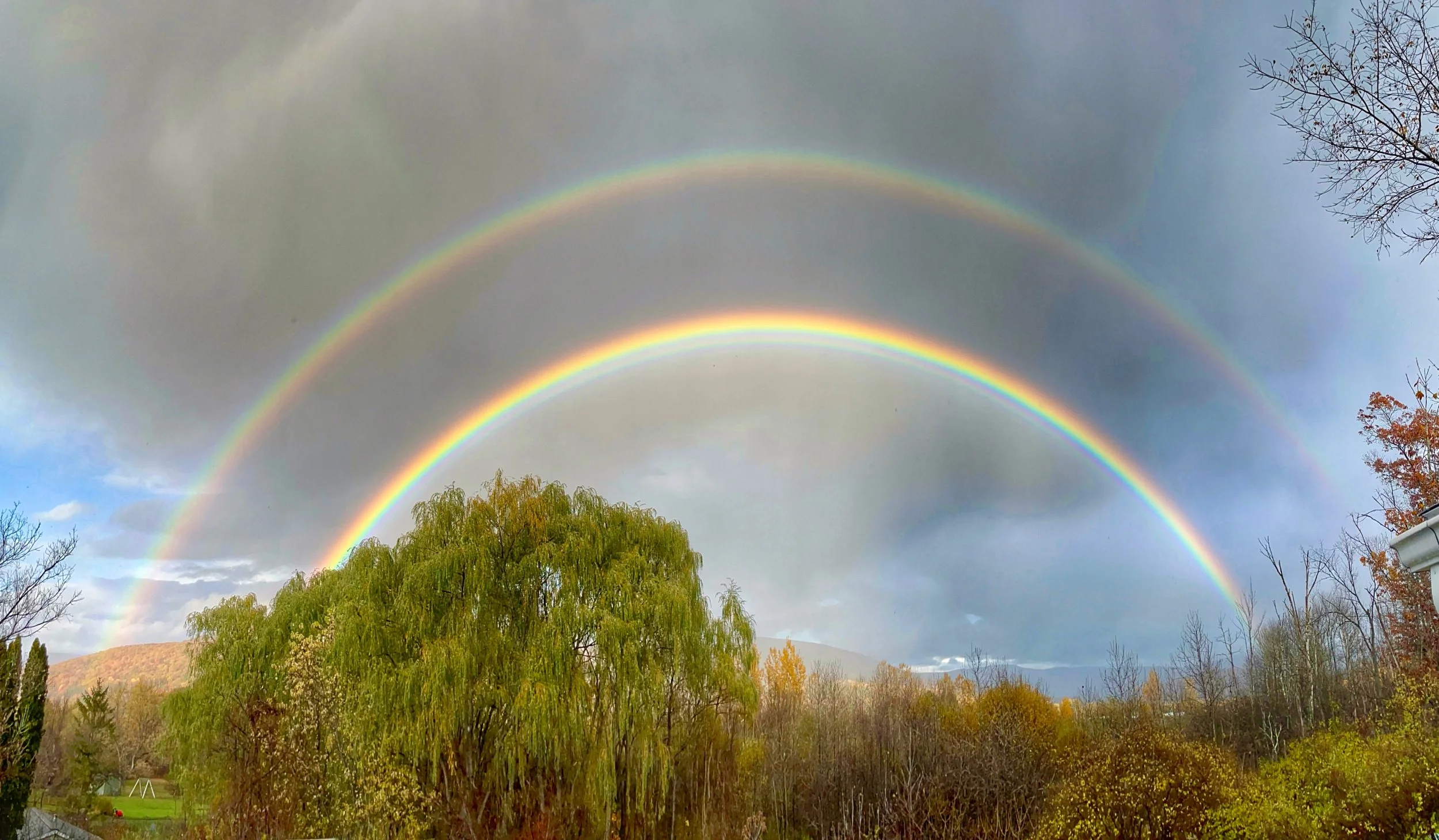 Forgiveness, Grace, and Beginning Again