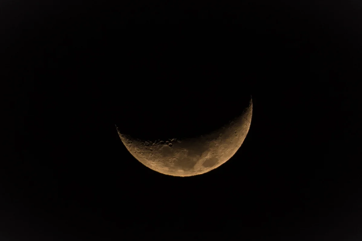 DT1_0231.jpg