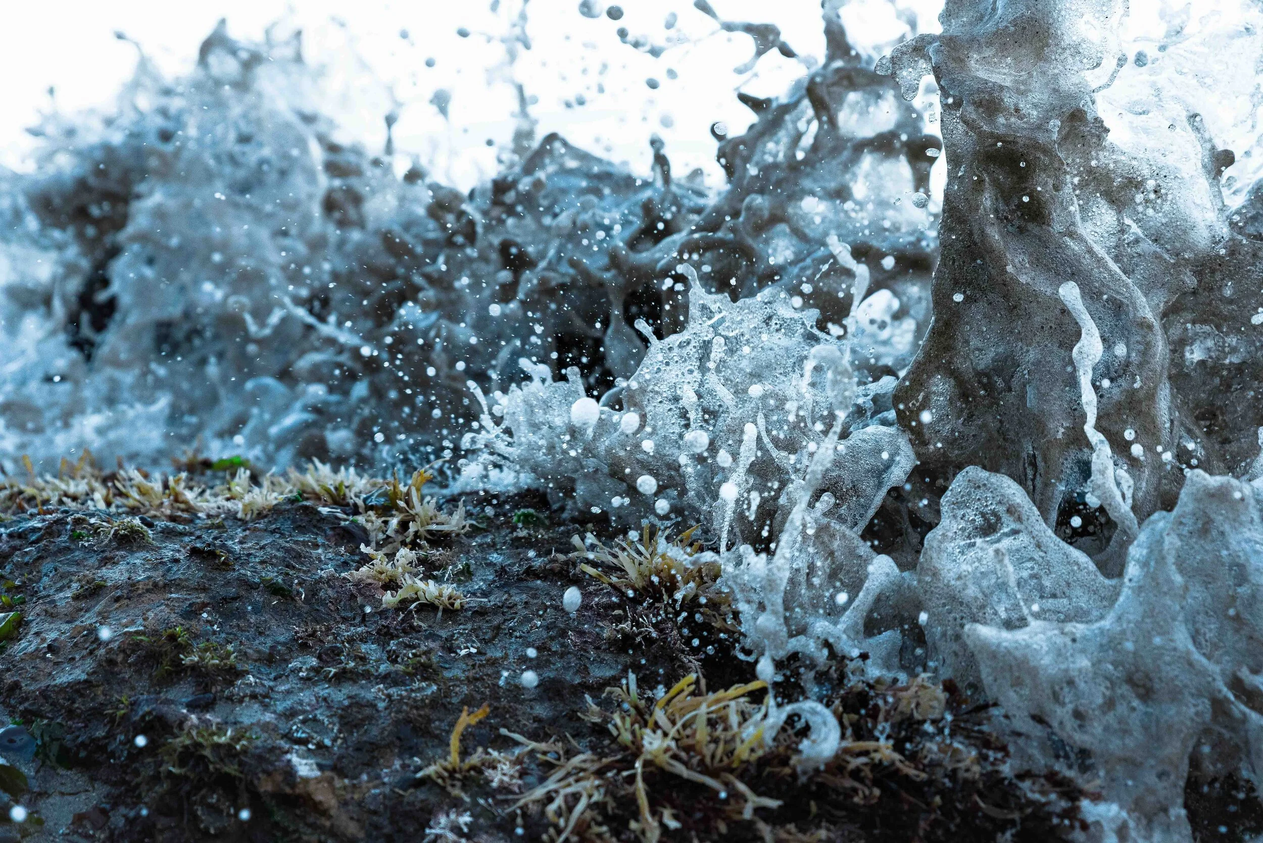 Prints for squarespace-7.jpg