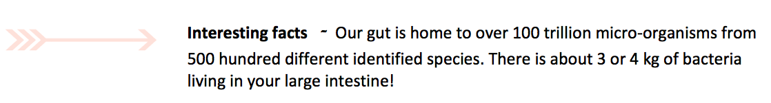 nourish_you_gut_health.png
