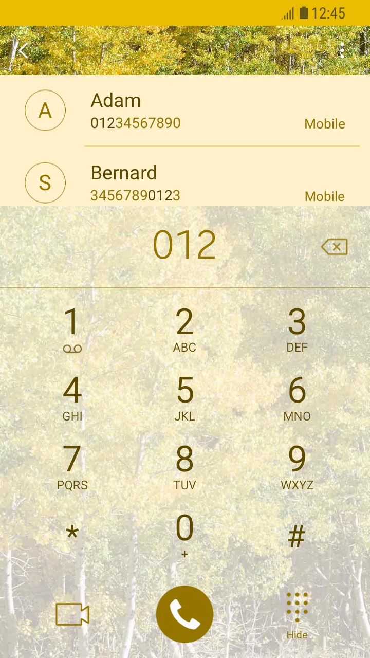 theme_dialer.jpg