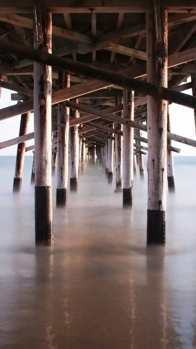 UndertheDock_1.jpg