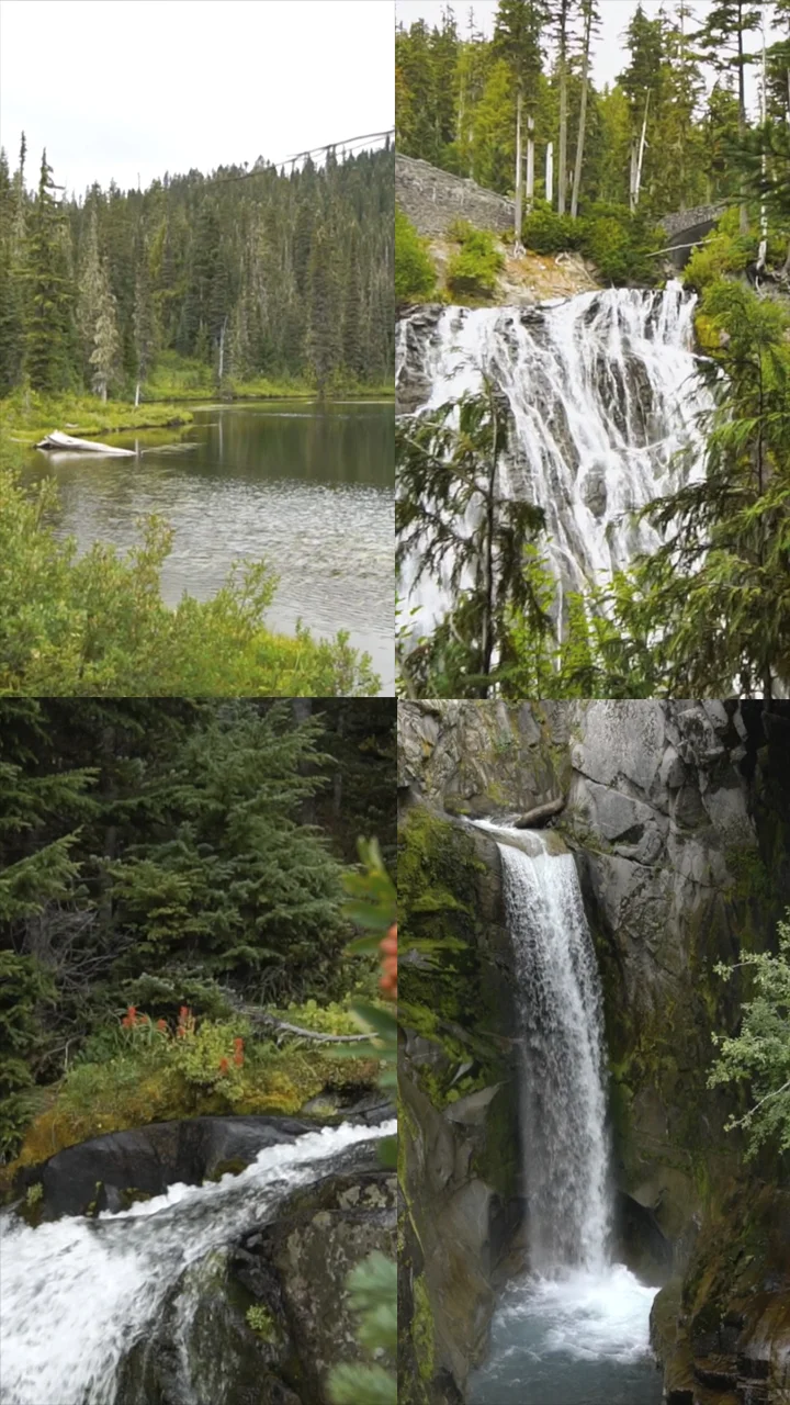 Mount Rainier Sights [Video] (Wallpaper)