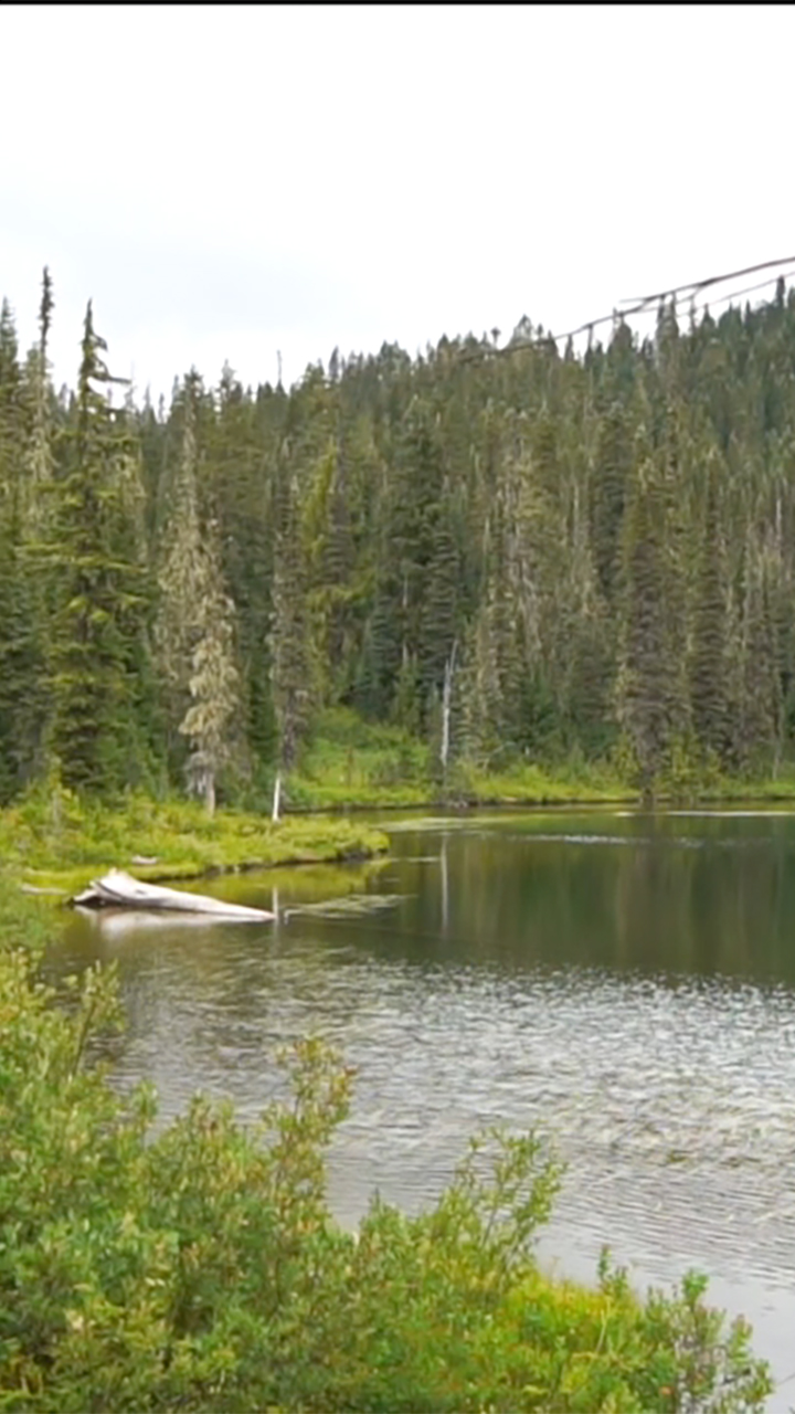 Mount Rainier Lake [Video] (Wallpaper)