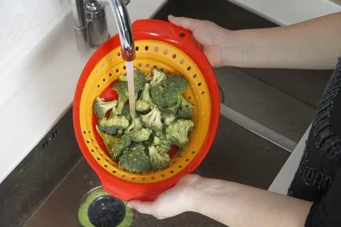 Collapsible Colander