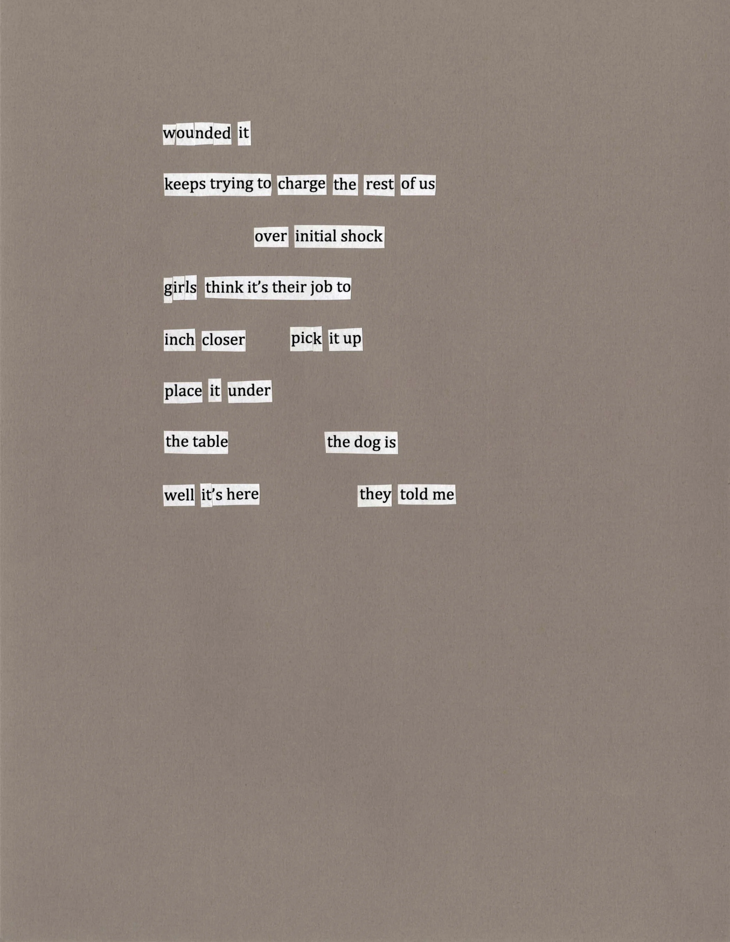 Poem from Estelle for DPL Q&A - wounded it keeps trying 031.jpeg