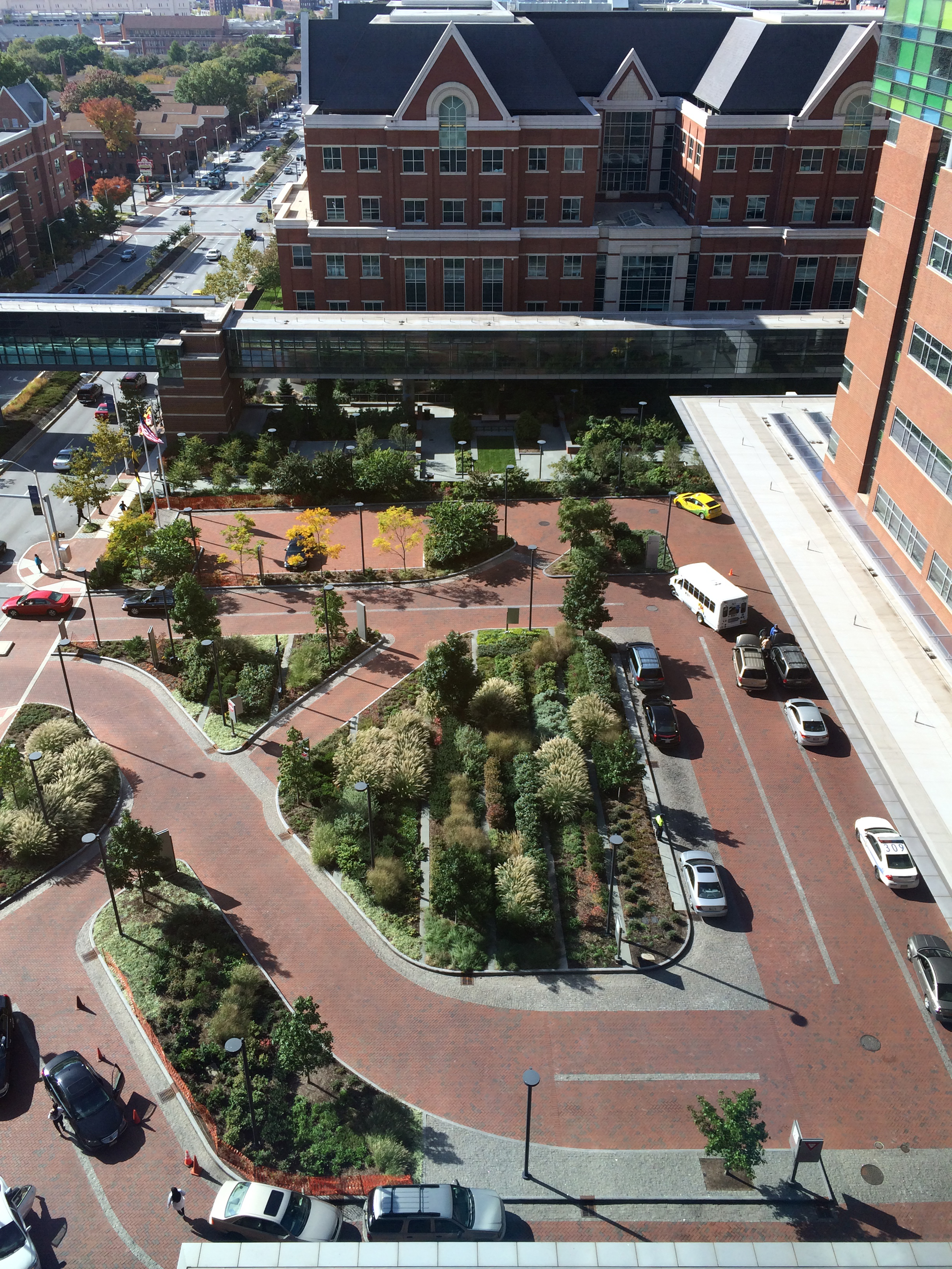 Johns Hopkins