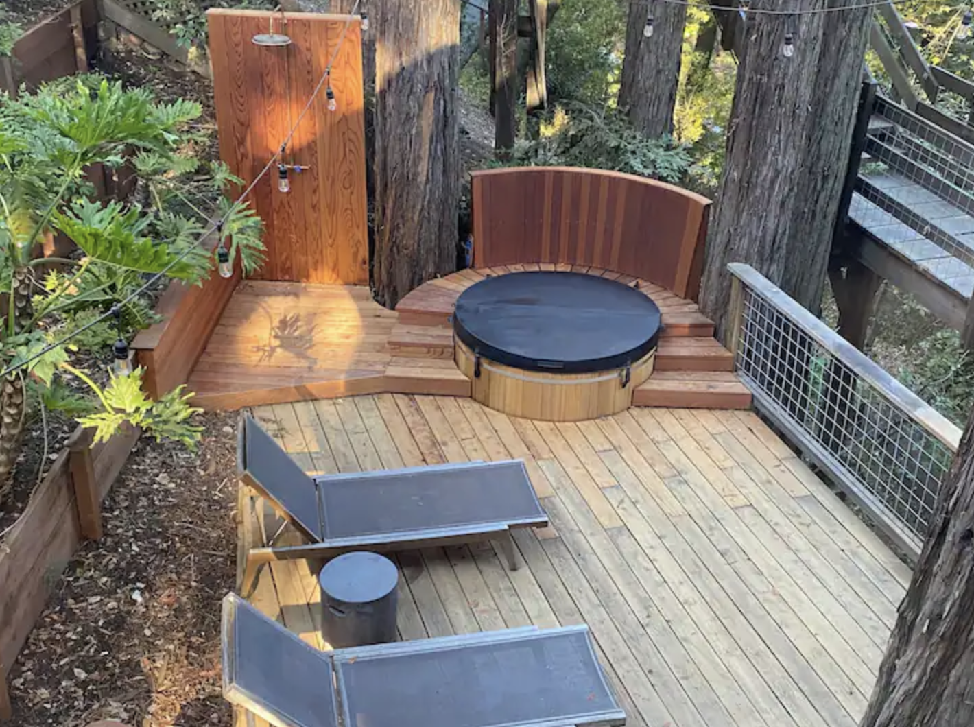 Screen Shot 2023-01-13 at 3.06.29 PM.png