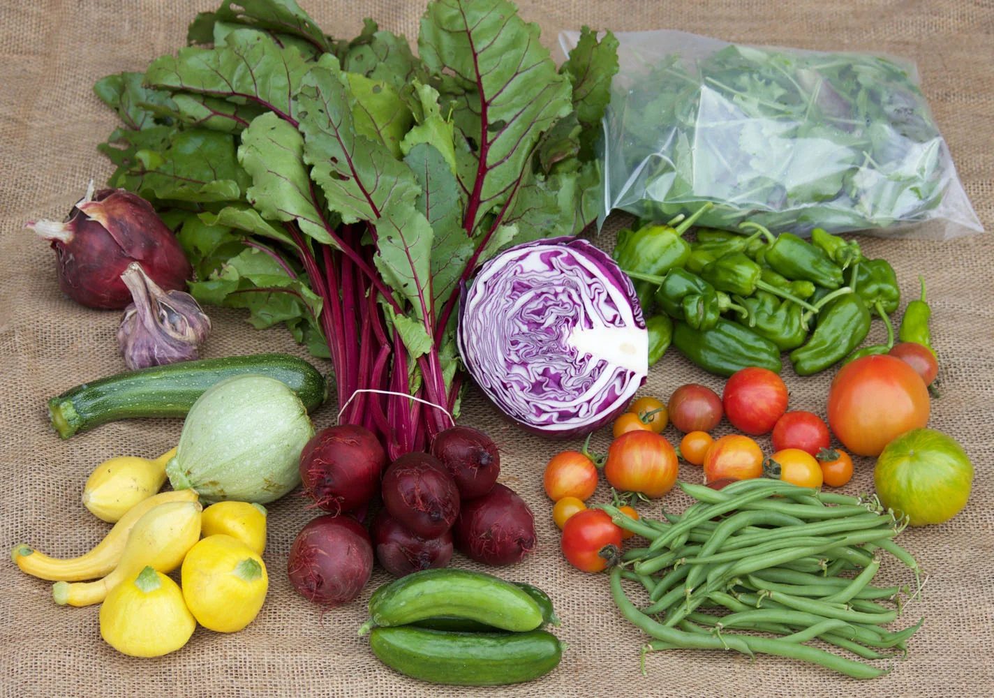 Medium Veggie Box from February 2017: zucchini and squash, garlic, red onion, beetroot, red cabbage, mesclun salad mix, padron peppers, heirloom tomatoes, green beans, and cucumbers.
