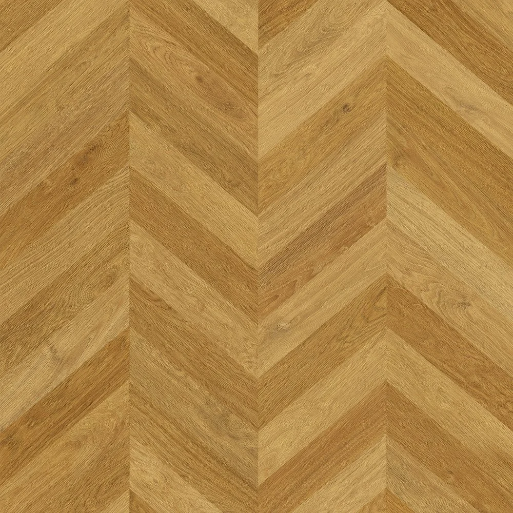 Zenku Artec Congo.jpg