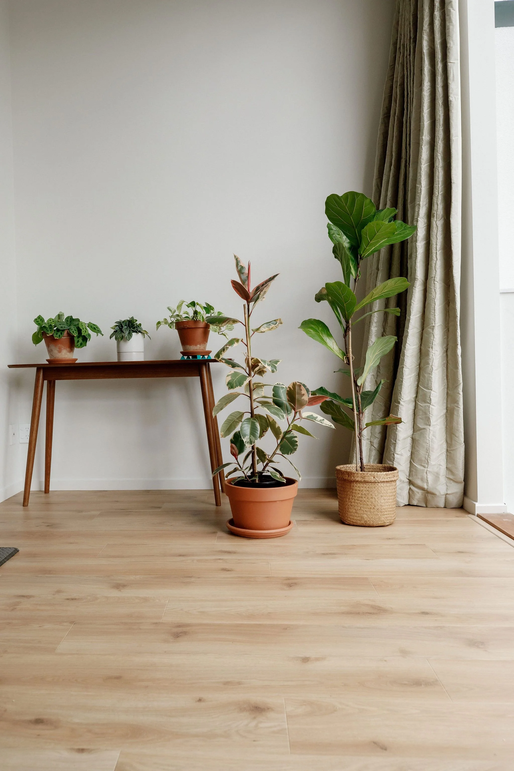 Oasis Camel Oak #1.jpg