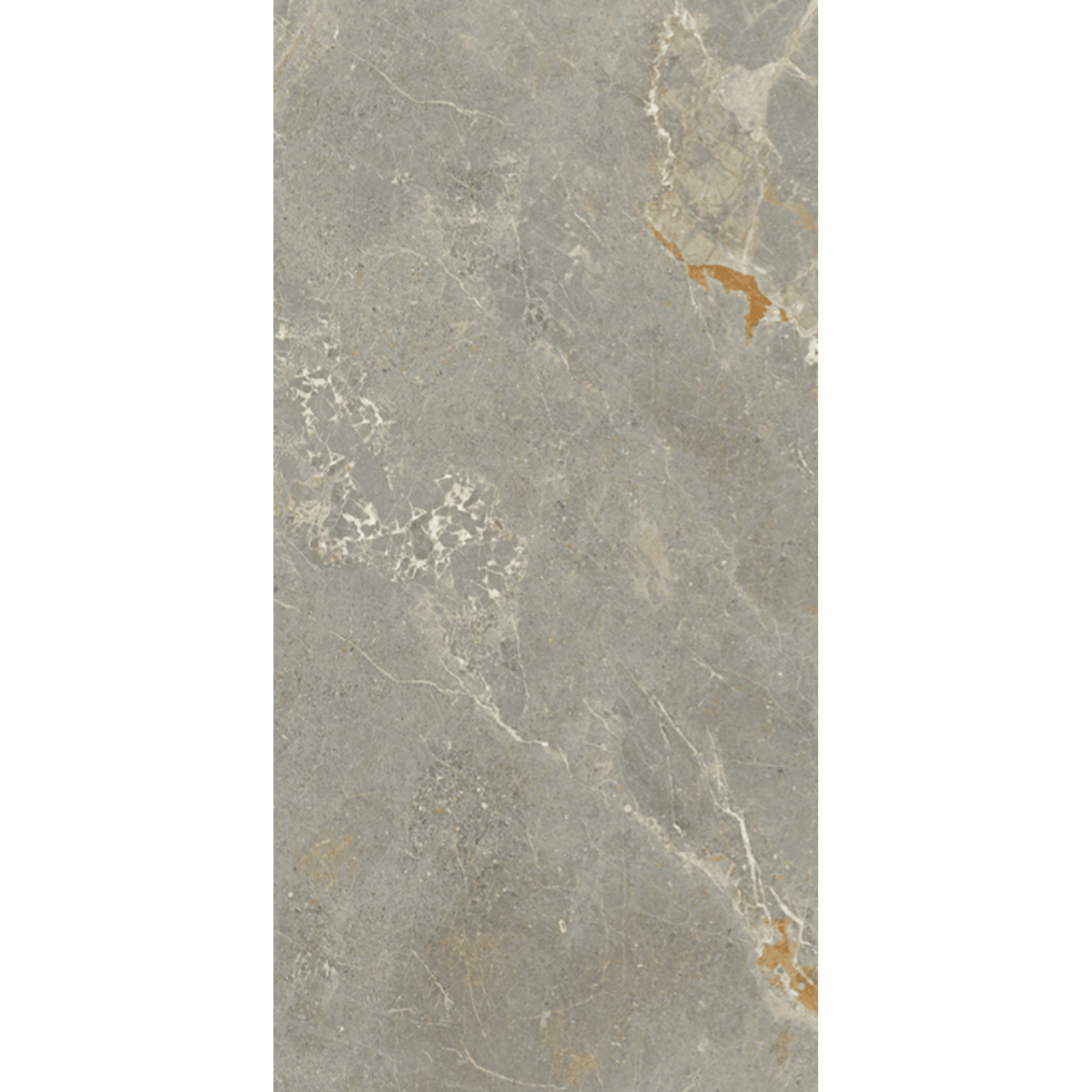 Dakota_Tiles_Hector_Bison_600x1200.png