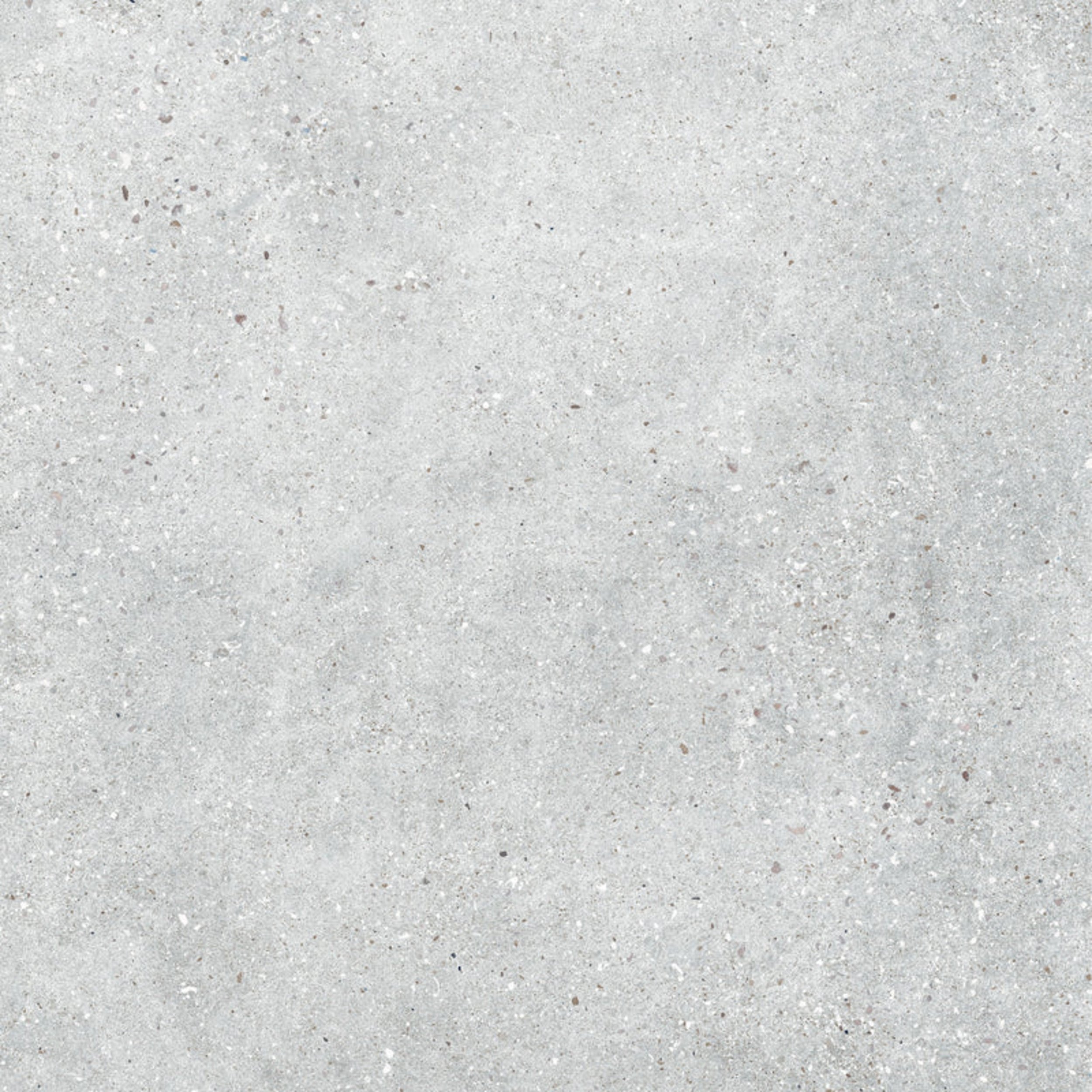 Dakota-Tiles_Kamo-Oyster.jpg