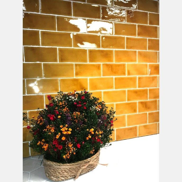 Dakota_Tiles_Rogue_.jpg