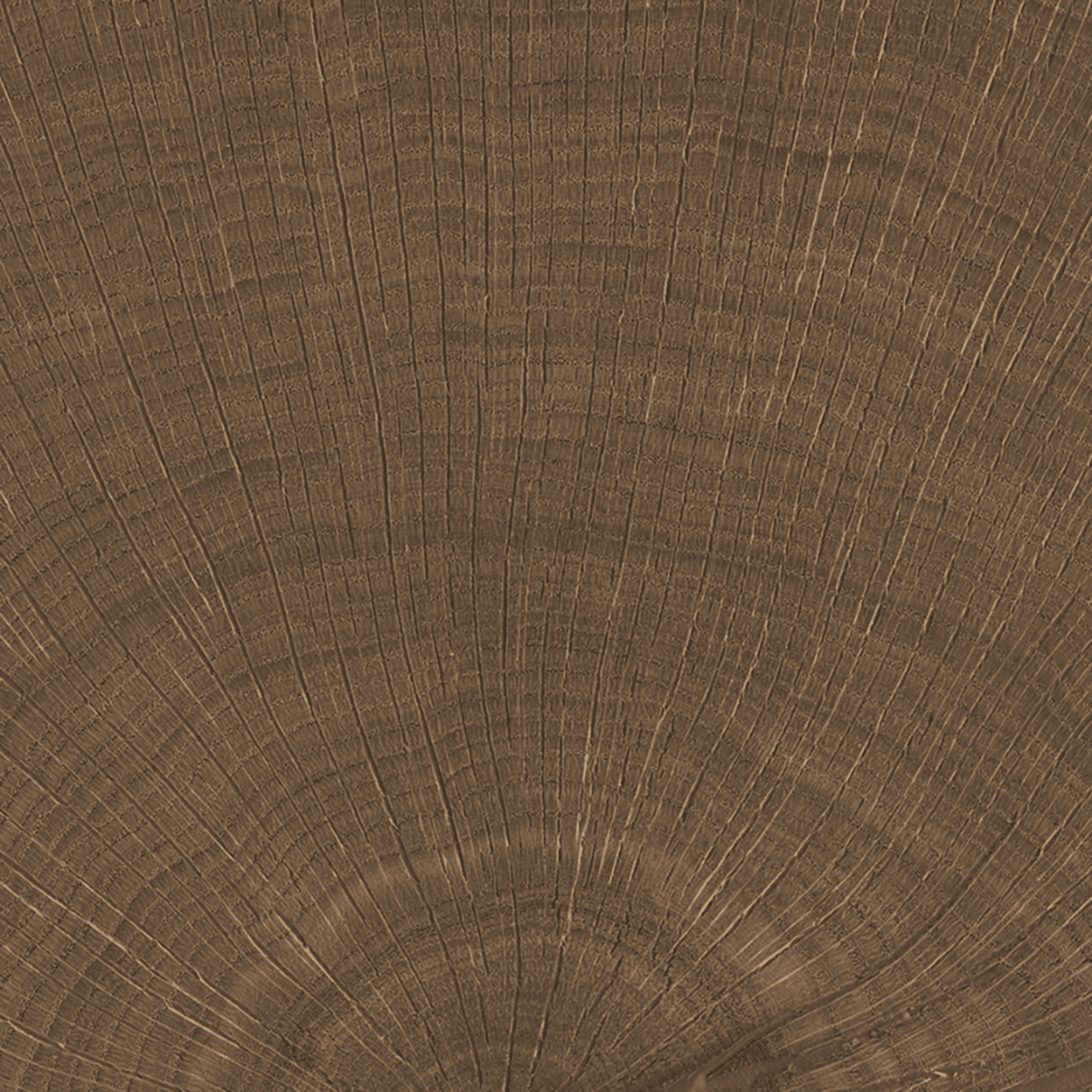 Dakota_Tiles_Waikato_Timber_2.png
