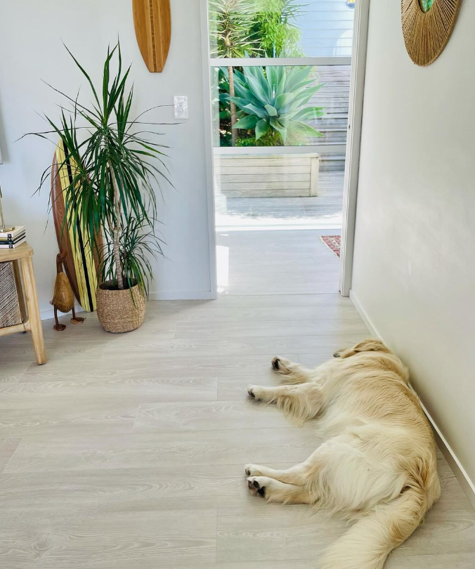 Euro Delux Frozen Oak.png