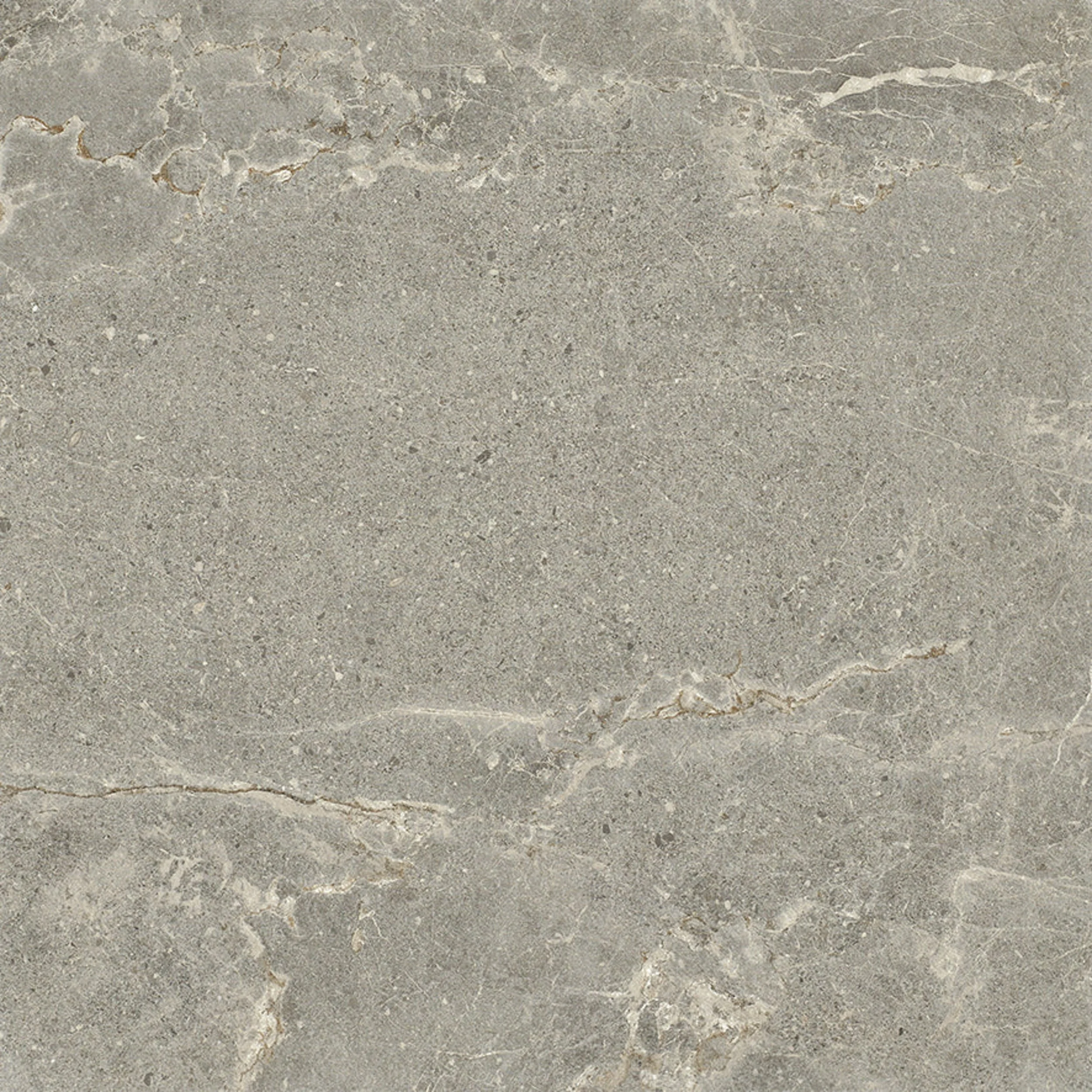 Dakota_Tiles_Hector_Bison_600x600.jpg