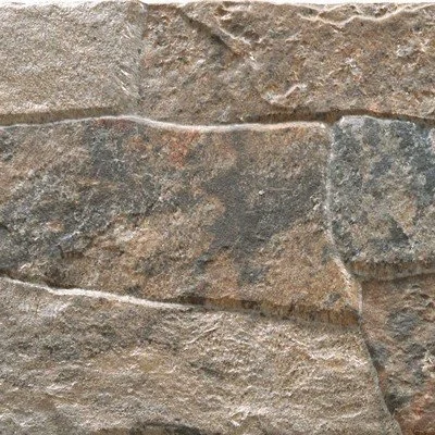 Dakota_Tiles_Birchwood_.jpg