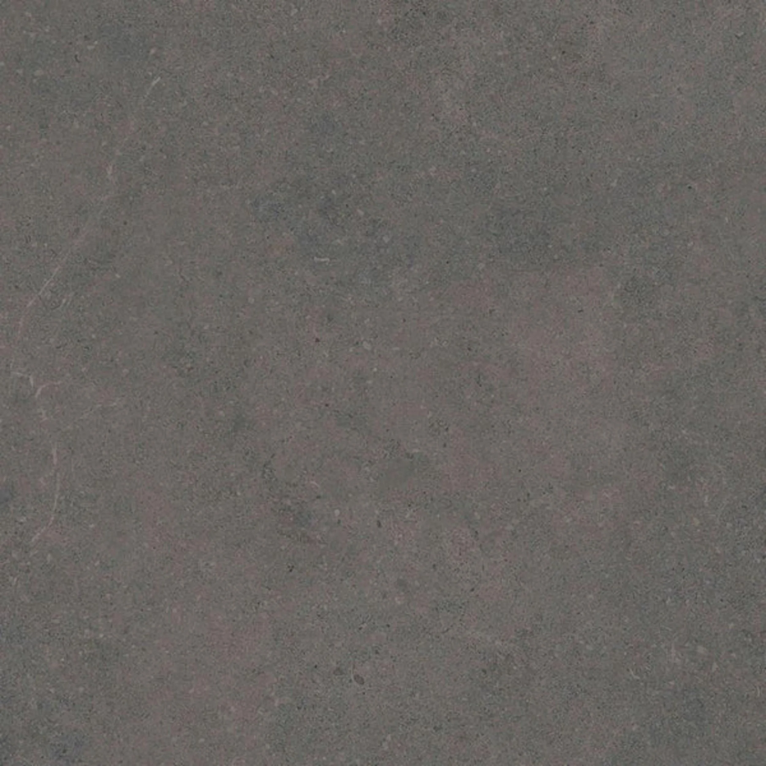 Dakota_Tiles_Ettrick_Fossil.jpg