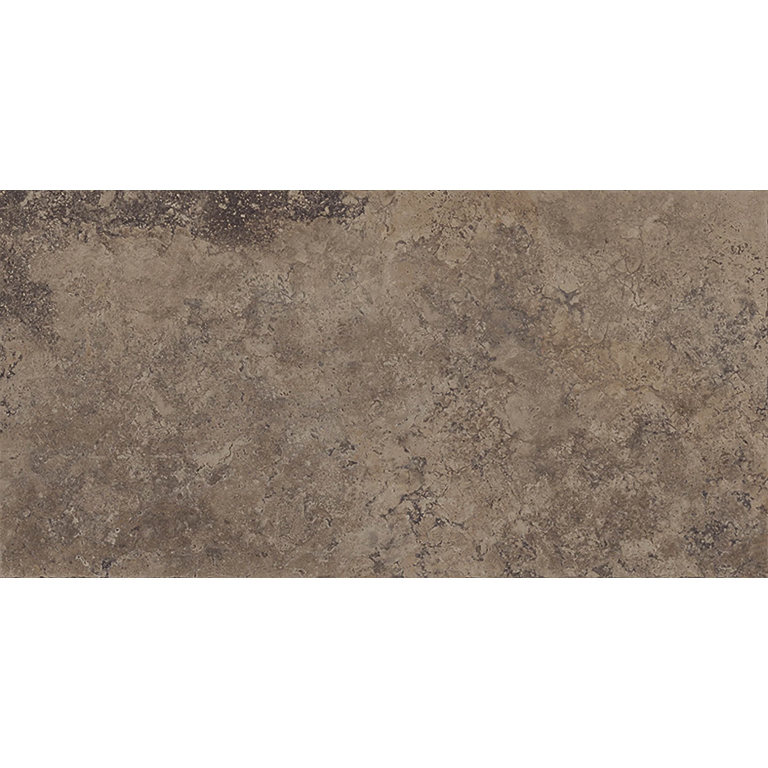 Clutha Classic Coco 600x1200.jpg (Copy)