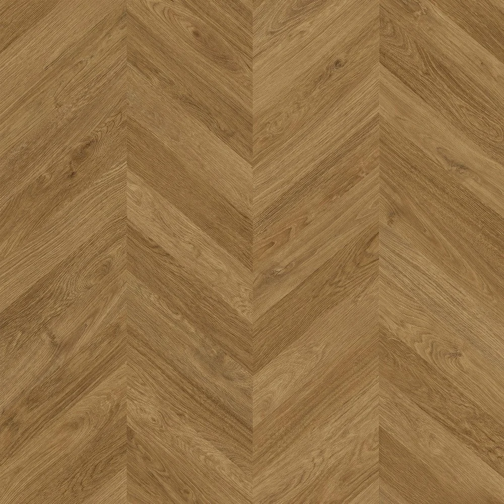 Zenku Artec Amazona.jpg