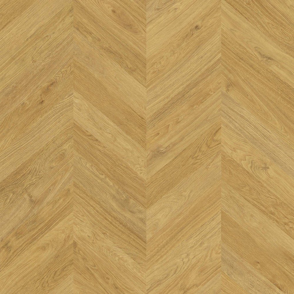 Zenku Aztec Nilo.jpg