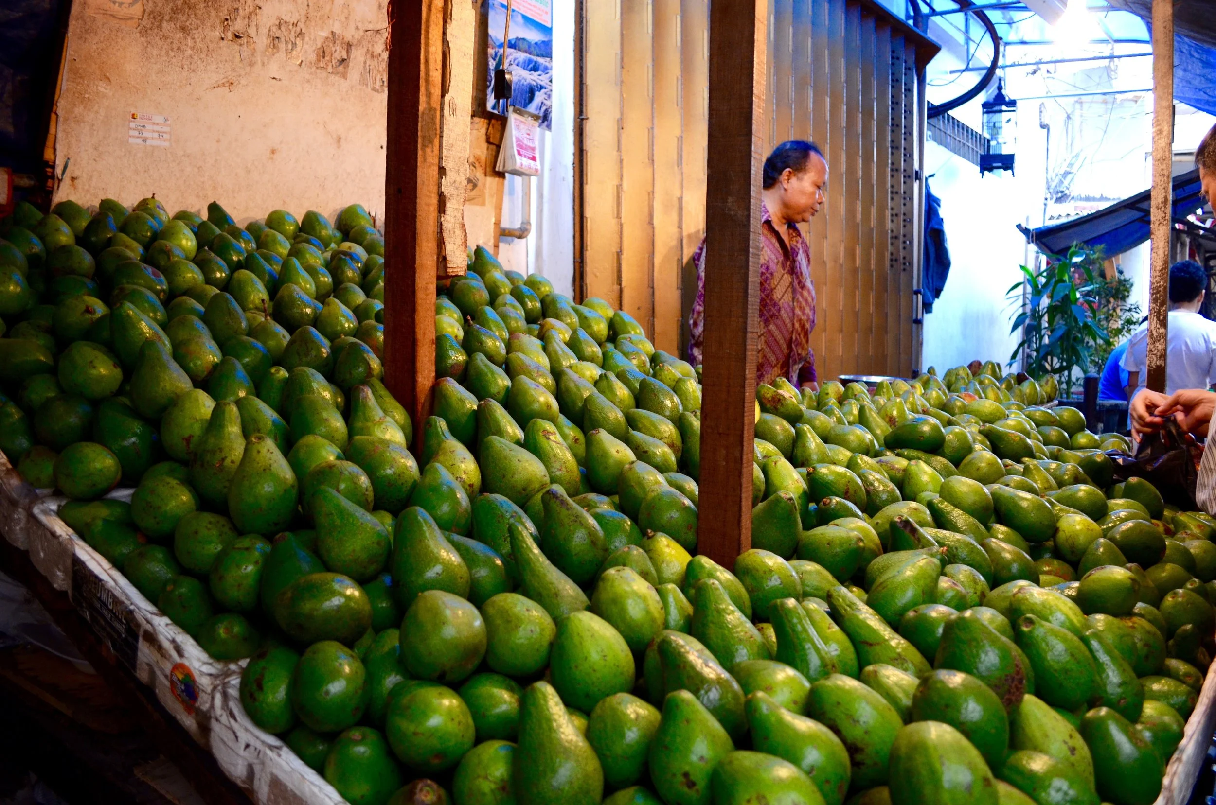 #alltheavocados