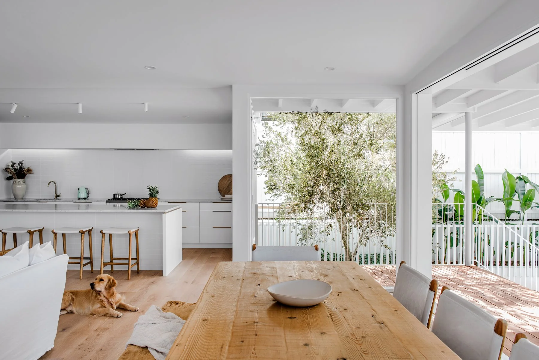 2019.05.10_DAHA_2RossStPaddington_14_S.jpg