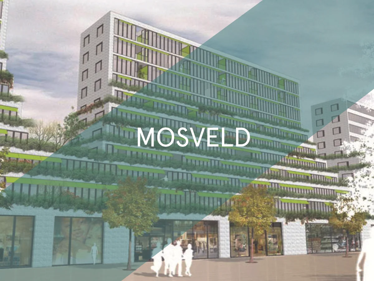 Mosveld.jpg
