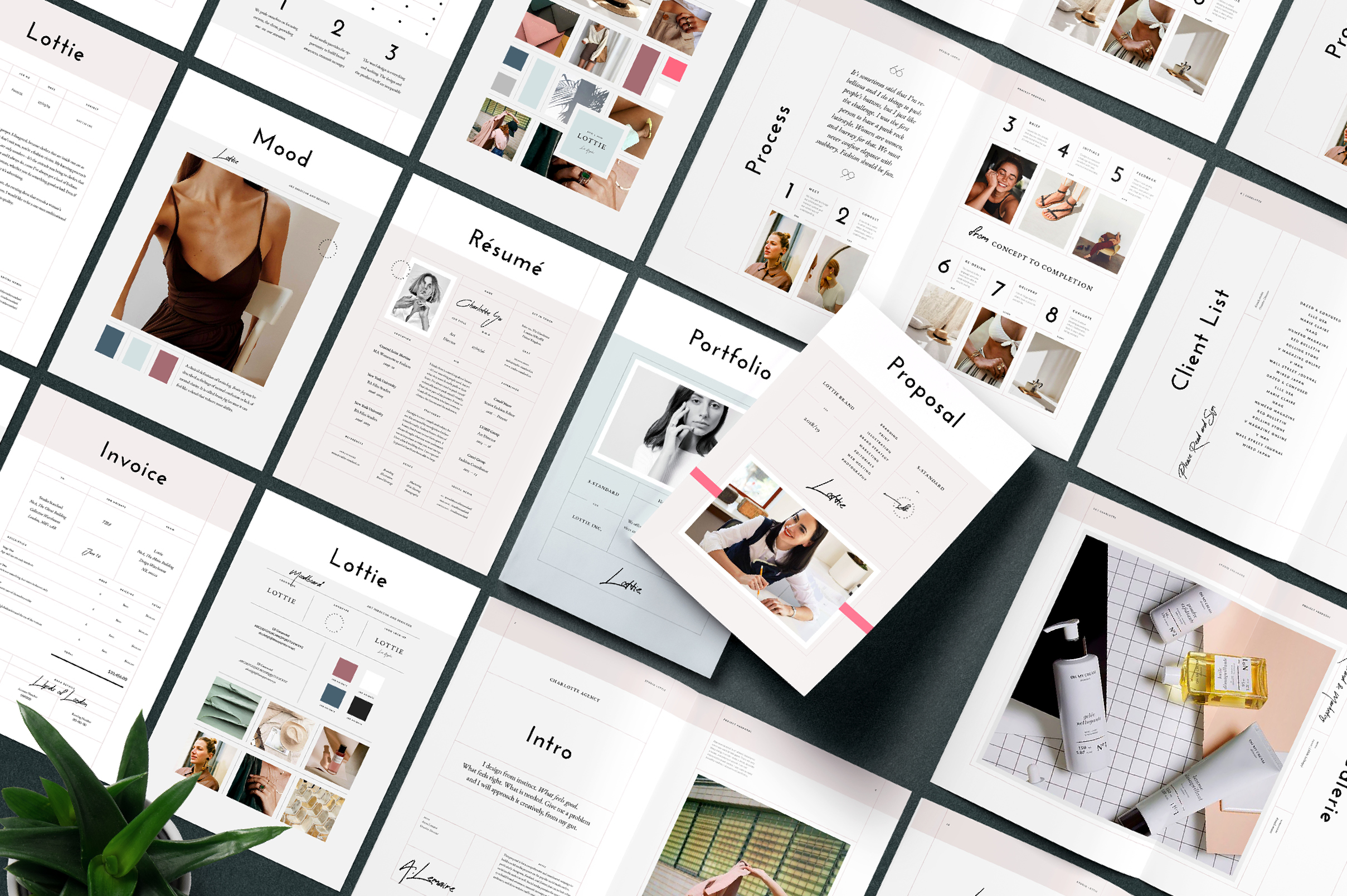 Lottie-Studio-Standard.jpg