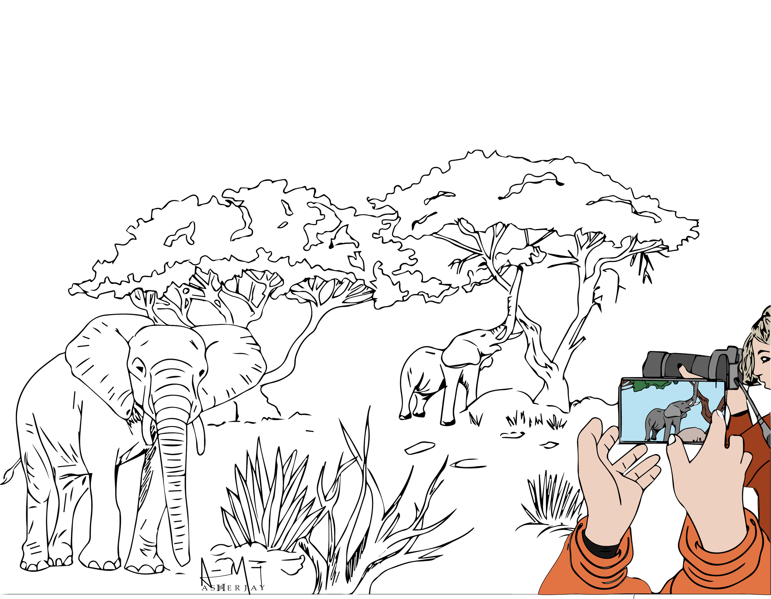 Elephants-Photo-Capture-Cull-Curate-Control-Asher-Jay.png